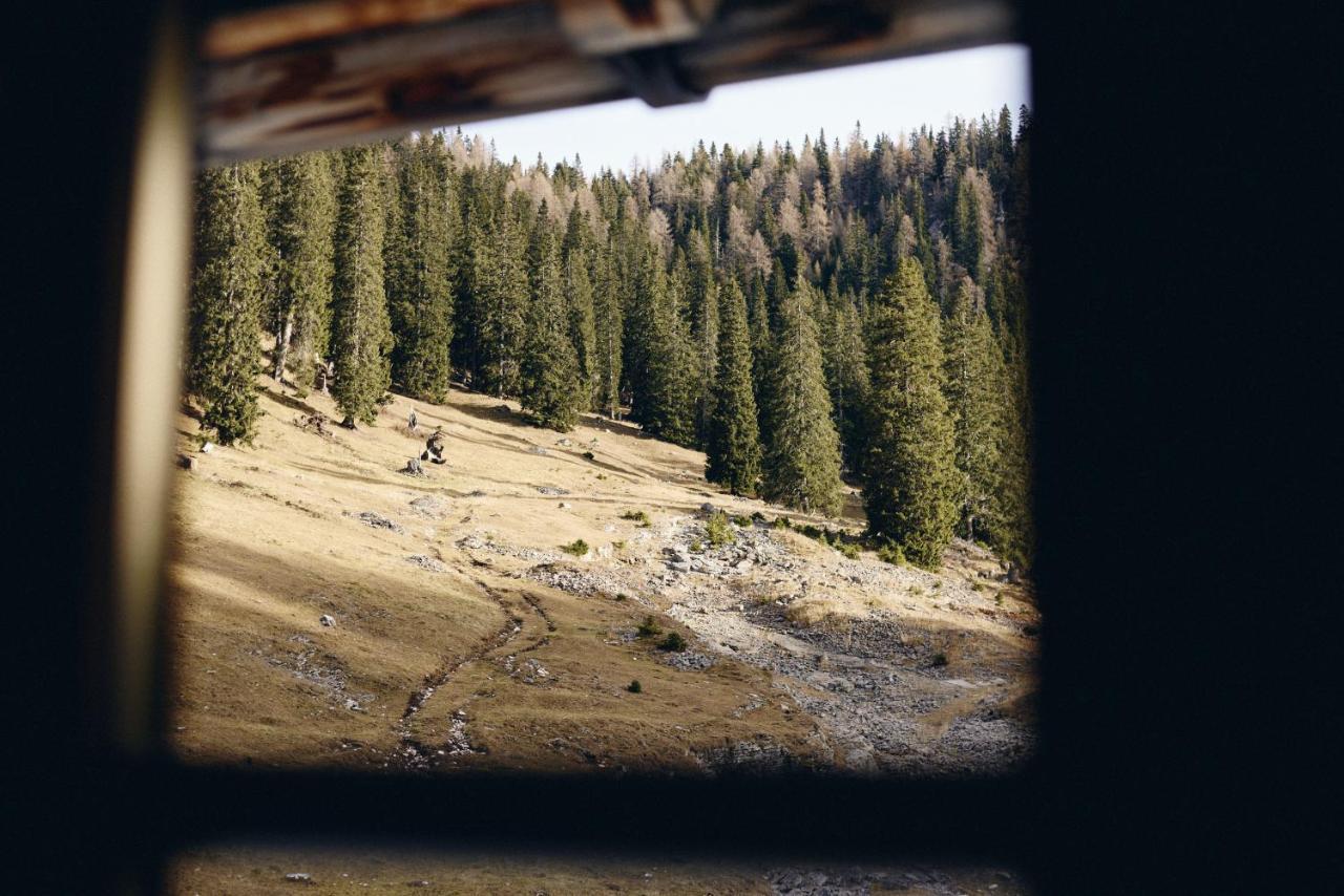 Rifugio Malga Ra Stua Villa Cortina d'Ampezzo Bagian luar foto