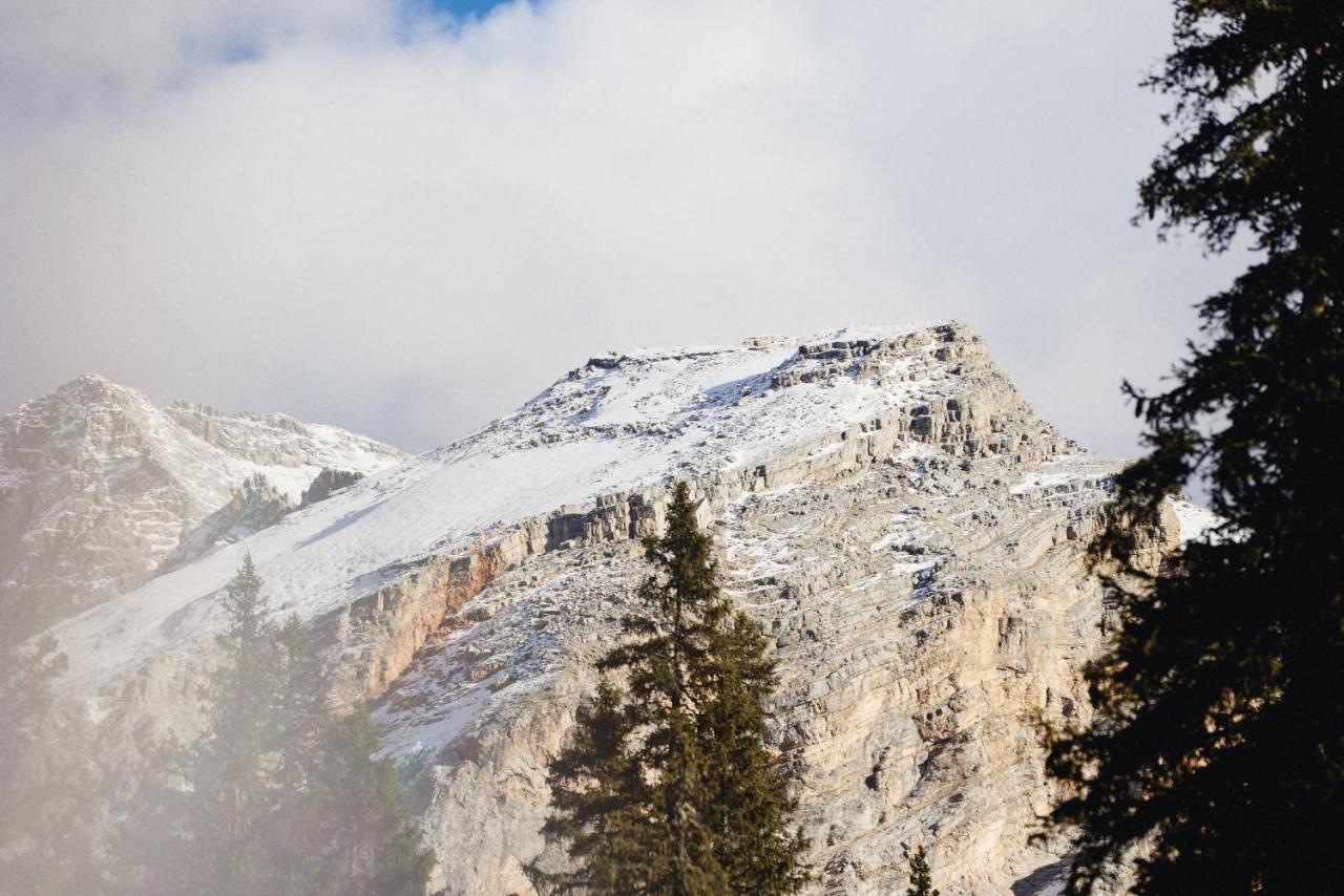 Rifugio Malga Ra Stua Villa Cortina d'Ampezzo Bagian luar foto