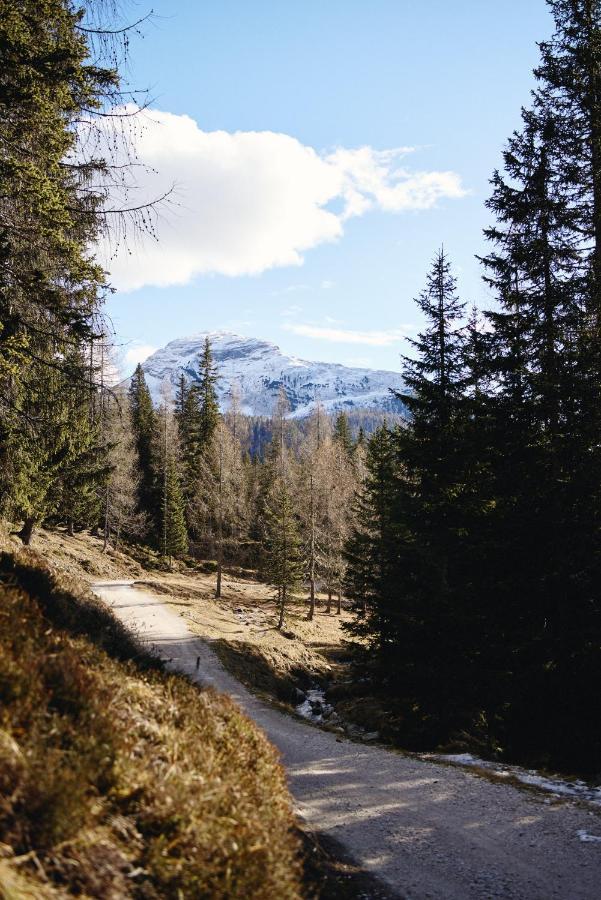 Rifugio Malga Ra Stua Villa Cortina d'Ampezzo Bagian luar foto