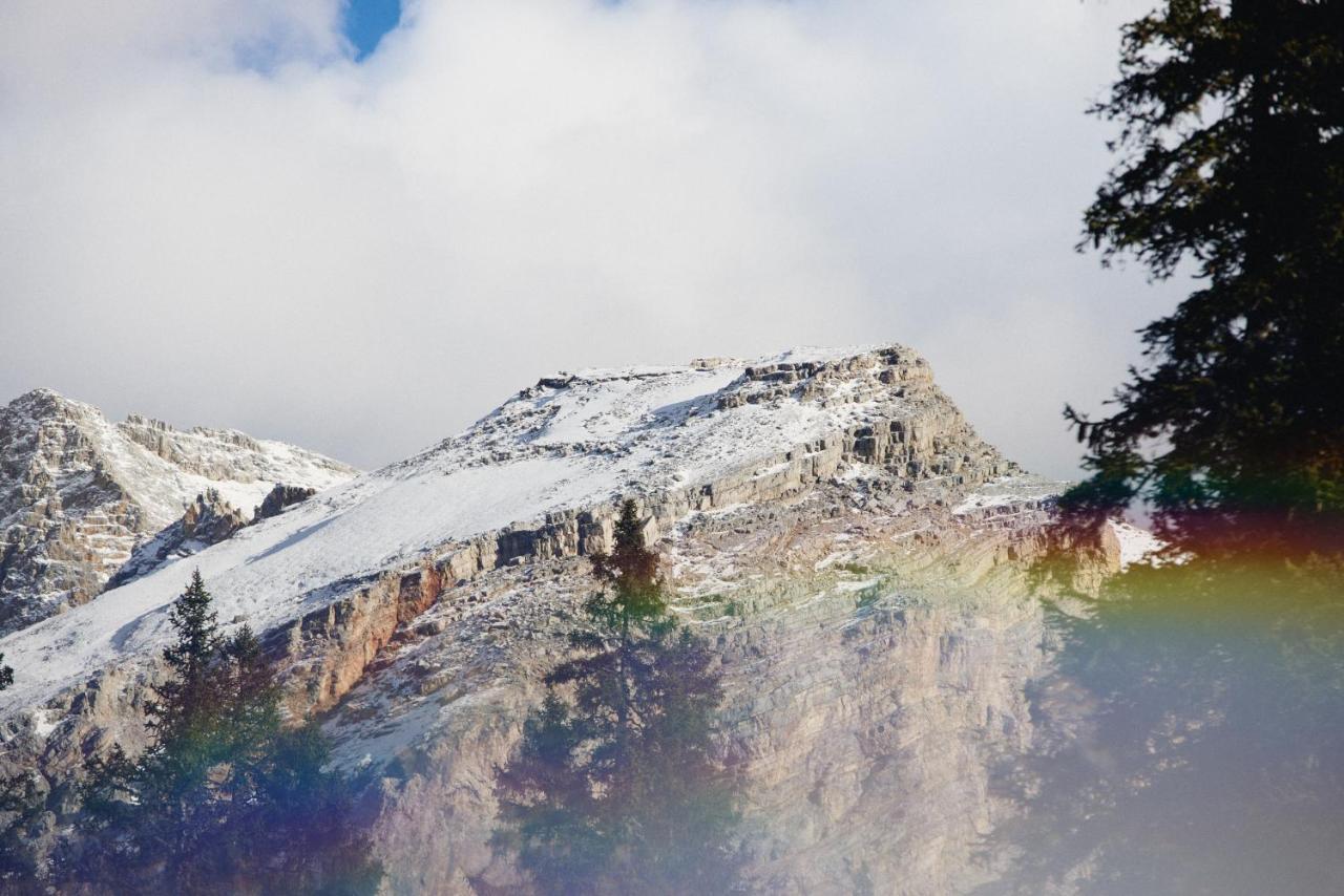 Rifugio Malga Ra Stua Villa Cortina d'Ampezzo Bagian luar foto