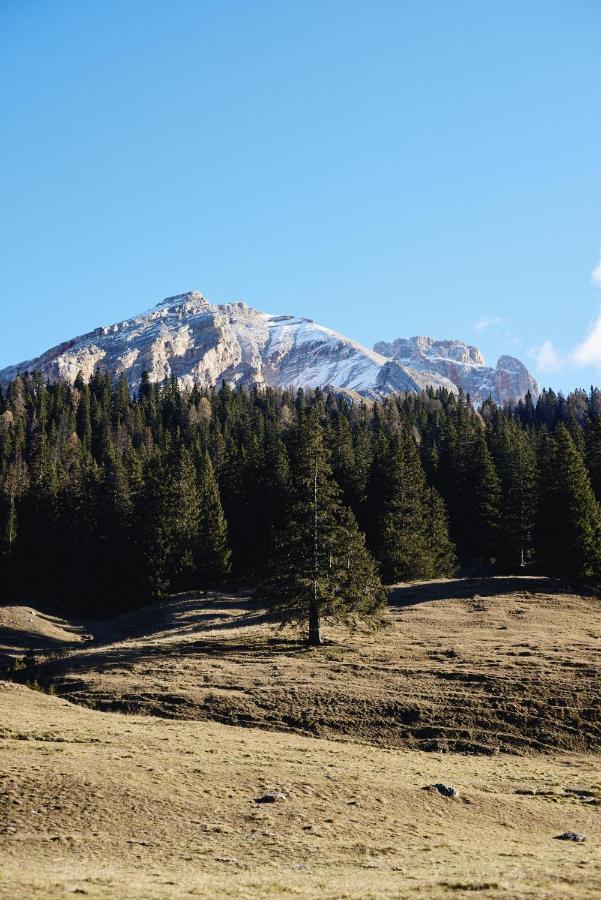 Rifugio Malga Ra Stua Villa Cortina d'Ampezzo Bagian luar foto