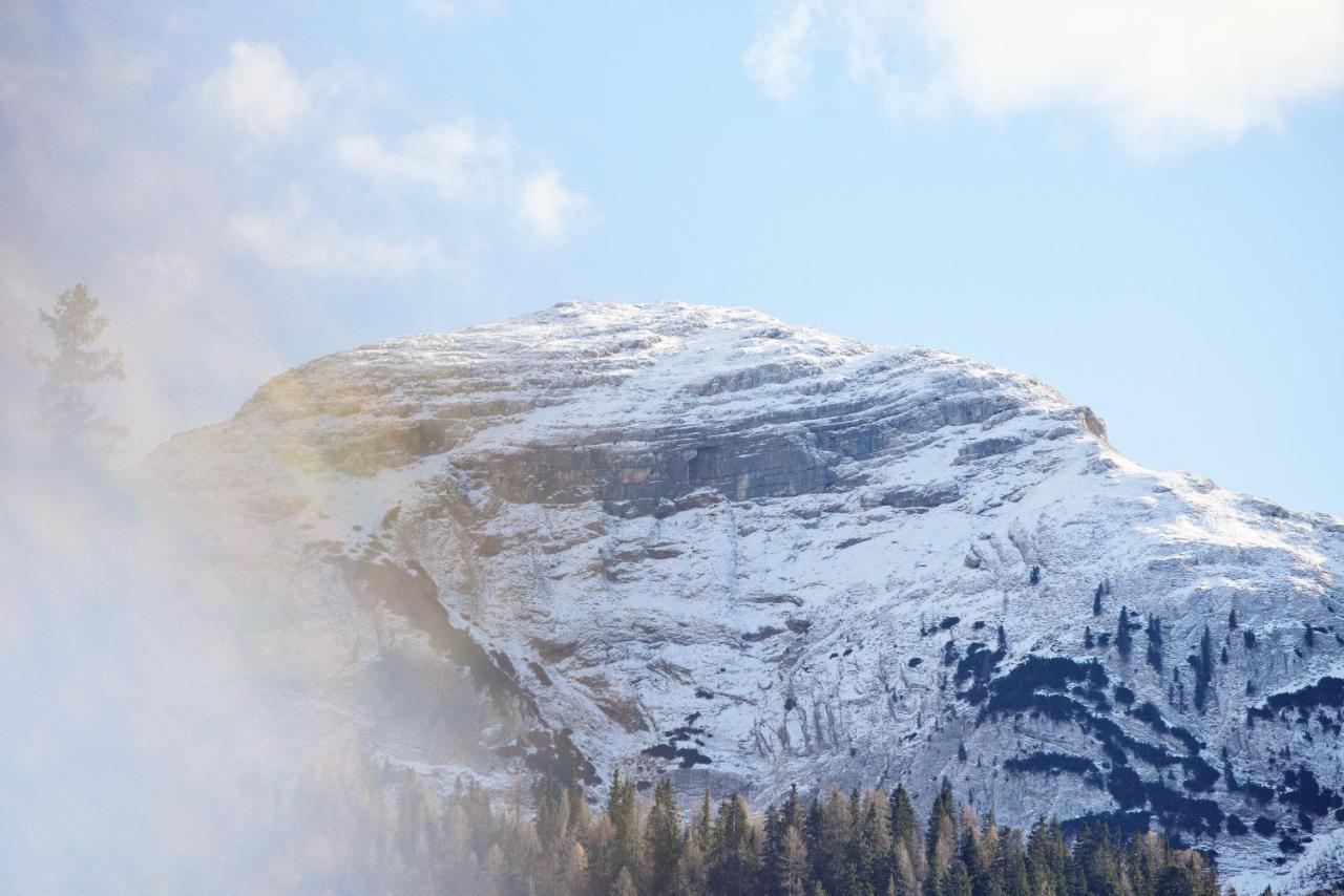 Rifugio Malga Ra Stua Villa Cortina d'Ampezzo Bagian luar foto